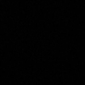 Meet your Posher, Dillon